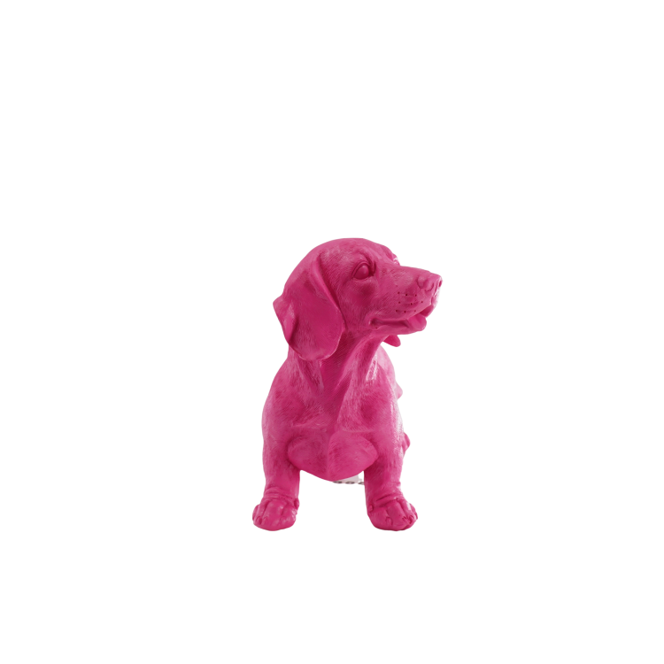 29ef876d-d295-4936-a9d9-91aa1ba9f107.png